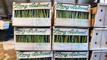 Asparagus boxes packed and ready for collection