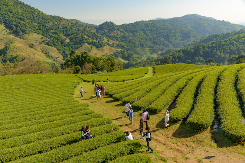 12 top tourist attractions in Chiang Rai (with map and photos) - Touropia