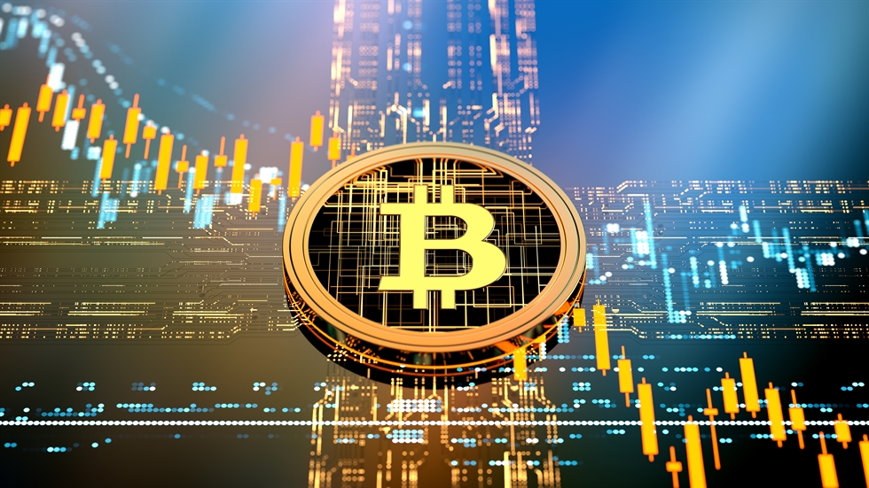 The Effects of Social Network on Cryptocurrency Performance