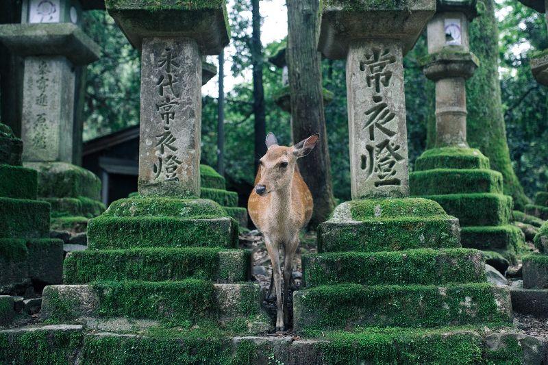 The Happiness of Renunciation-- In Retreat and in Everyday Life-- Buddhistdoor Global