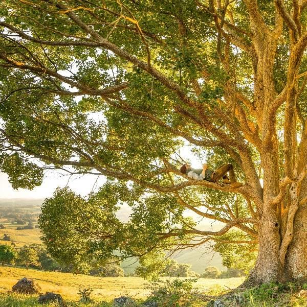 The Happiness of Renunciation-- In Retreat and in Everyday Life-- Buddhistdoor Global