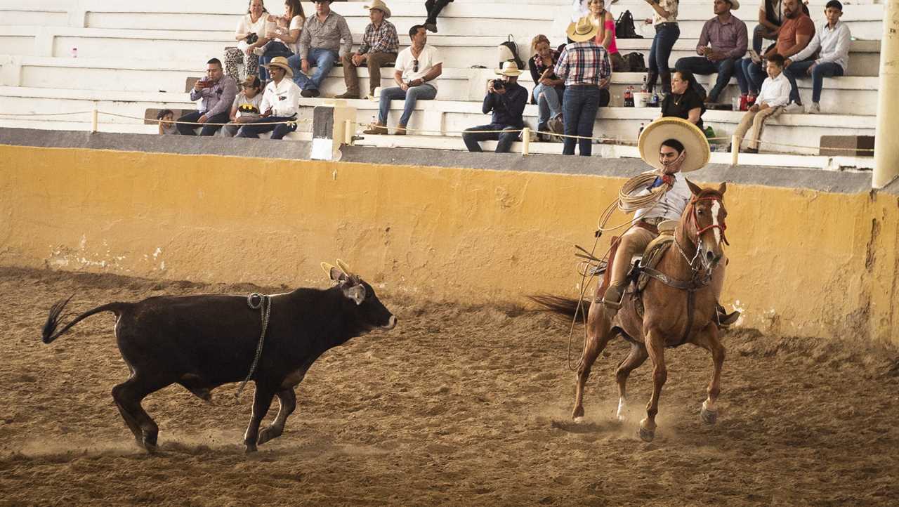 Charros are Mexican horse riders, who often wear elaborate traditional dress when they perform.
