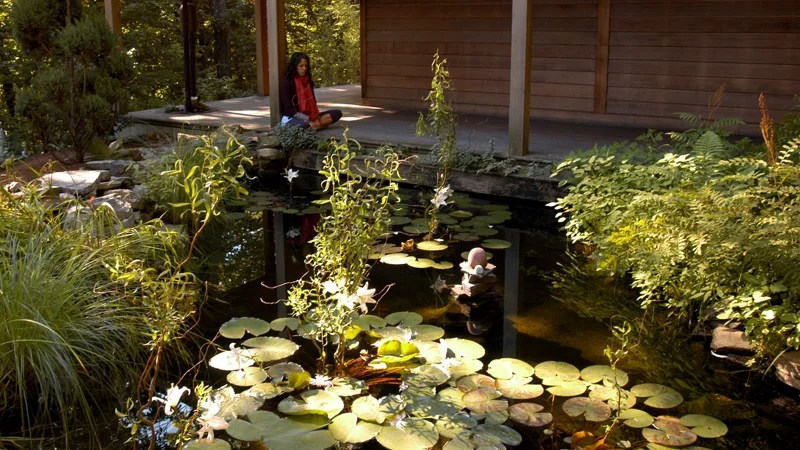 The Best Meditation Retreats in the U.S.