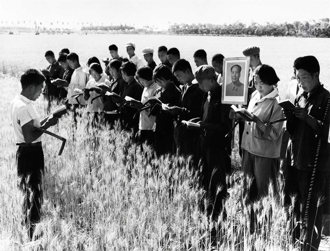 Prior to starting work in a field, young people read some of 'Mao Zedong Thoughts' together in Nanshanglo administrative district on July 7, 1967. This is probably a propaganda picture set up during the 'Great Proletarian Cultural Revolution.'