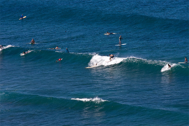 Puerto Rico: one of the best affordable surf destinations in the world |  Photo: EarthMissions