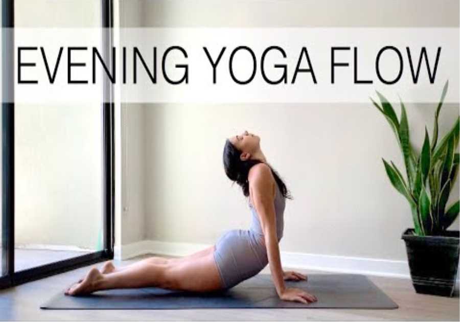 20 Minute Evening Yoga Flow | Daily Routine To Relax &amp; Unwind